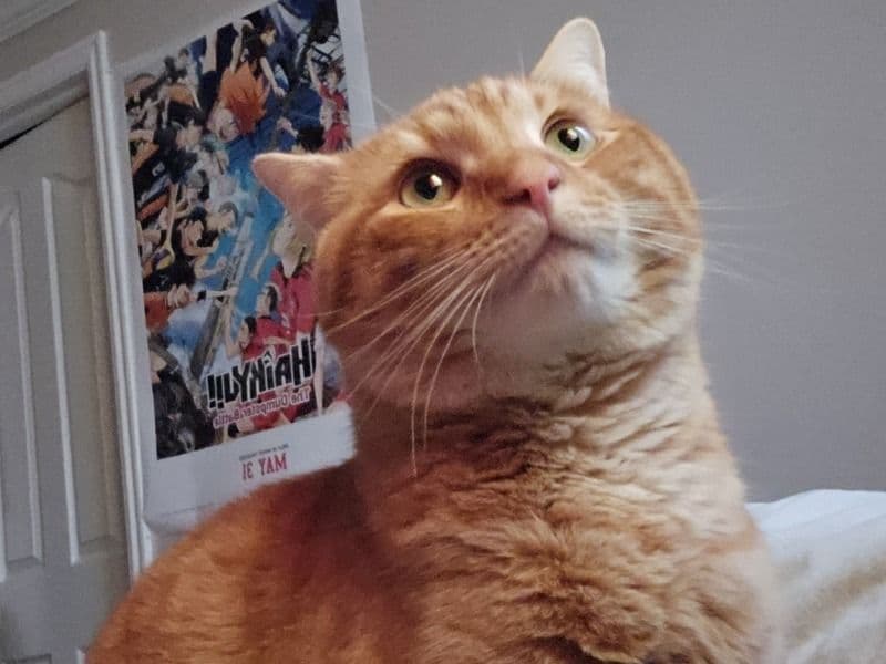 Olaf primary photo
