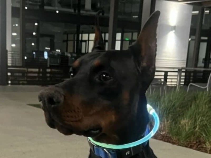Poseidon primary photo