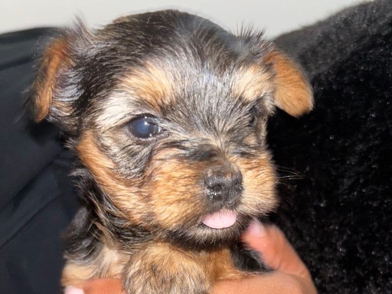 Baby primary photo