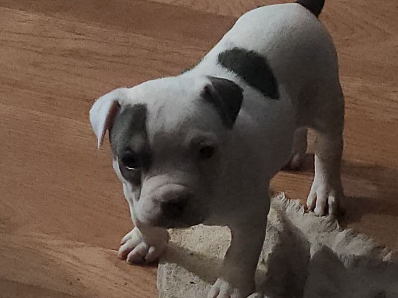 Little Gurl primary photo