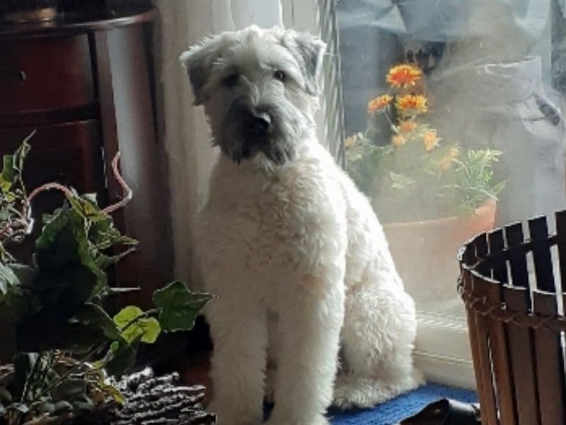 Theo primary photo