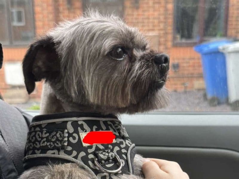 Gucci primary photo