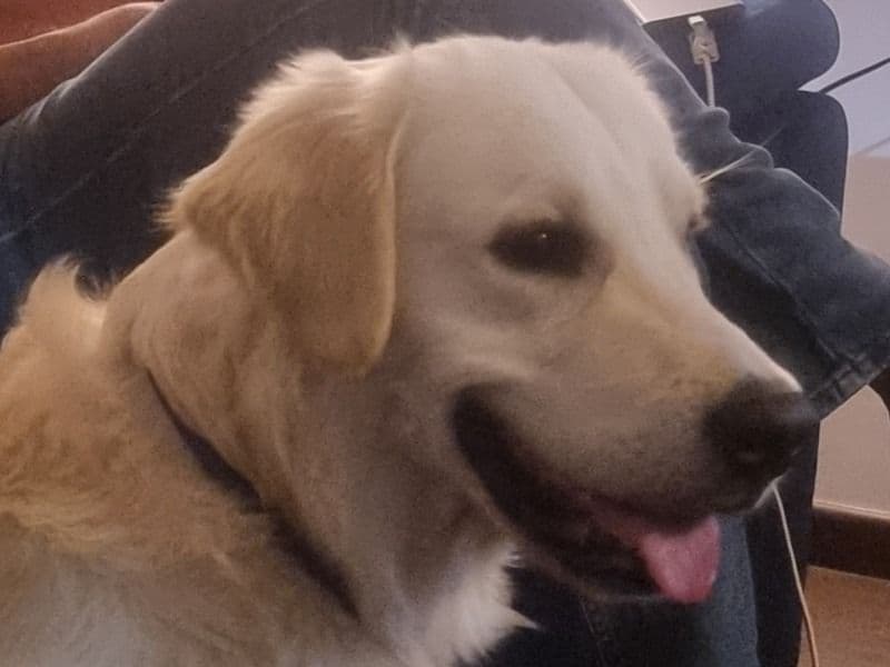Max primary photo