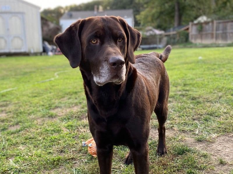 Max primary photo