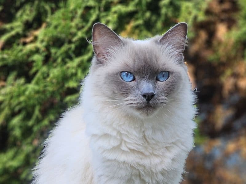 Yuki primary photo