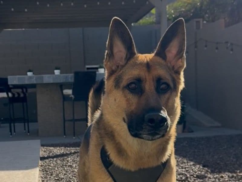 Max primary photo