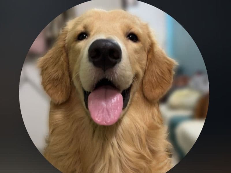 Bruno primary photo