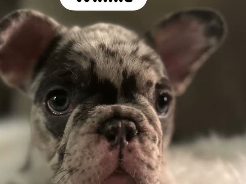 Winnie primary photo