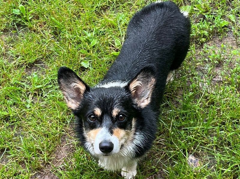 Tucker primary photo