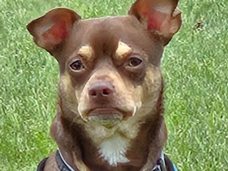 Charlie primary photo