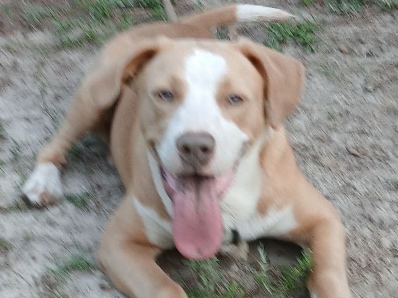 Cain primary photo