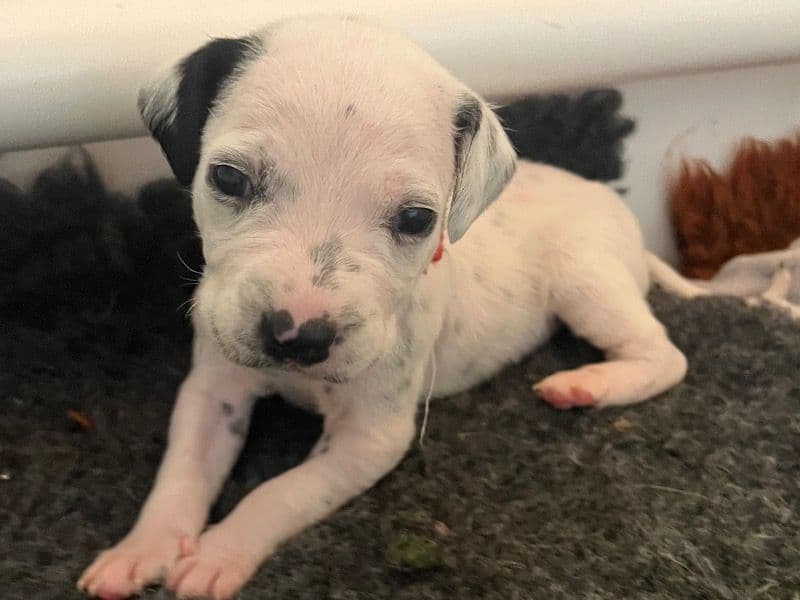 Baby primary photo