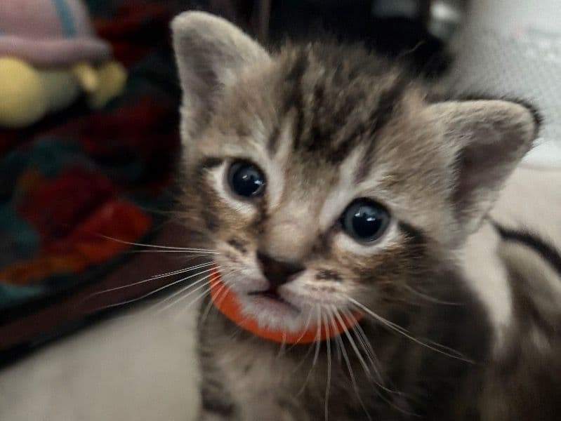 Doesn’t Have A Name Yet primary photo