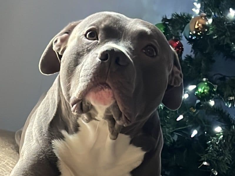 Kilo primary photo
