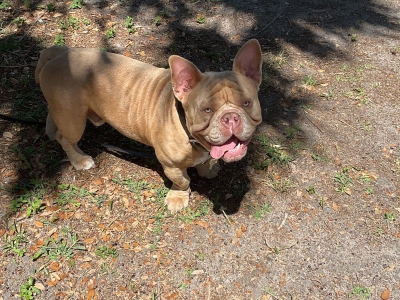 Zeus primary photo
