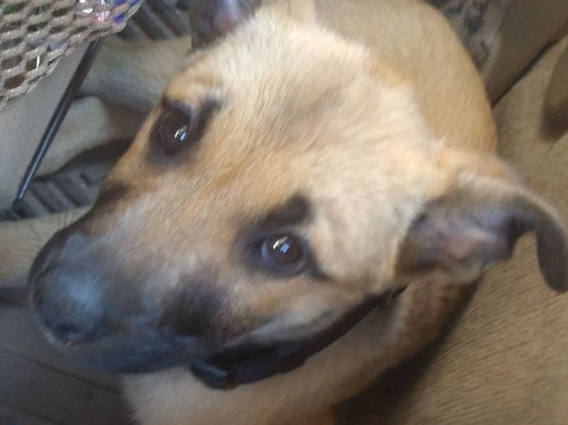 Missy primary photo
