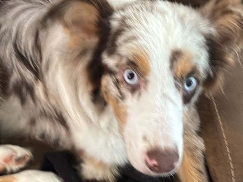 Luka primary photo