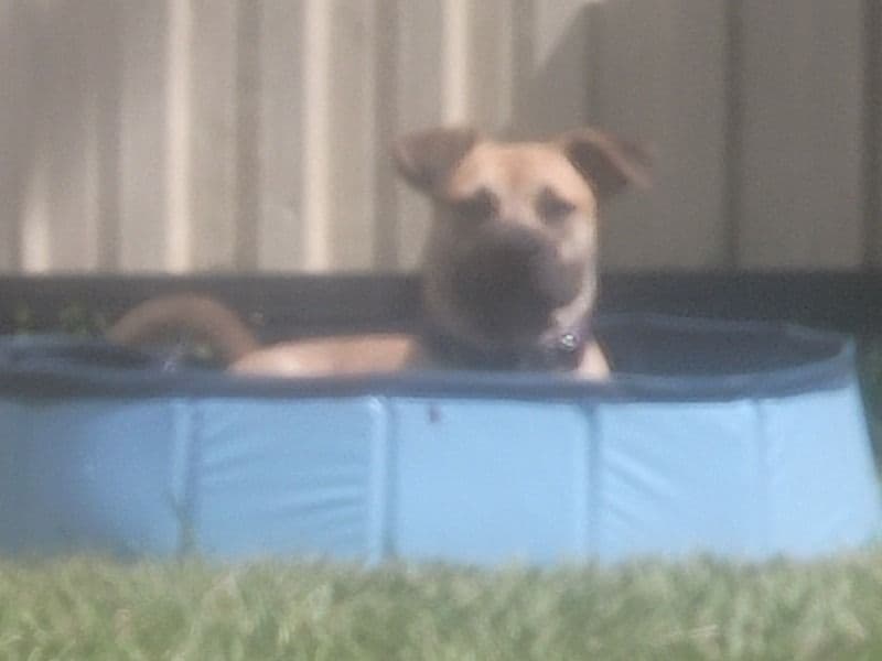 Freyja primary photo