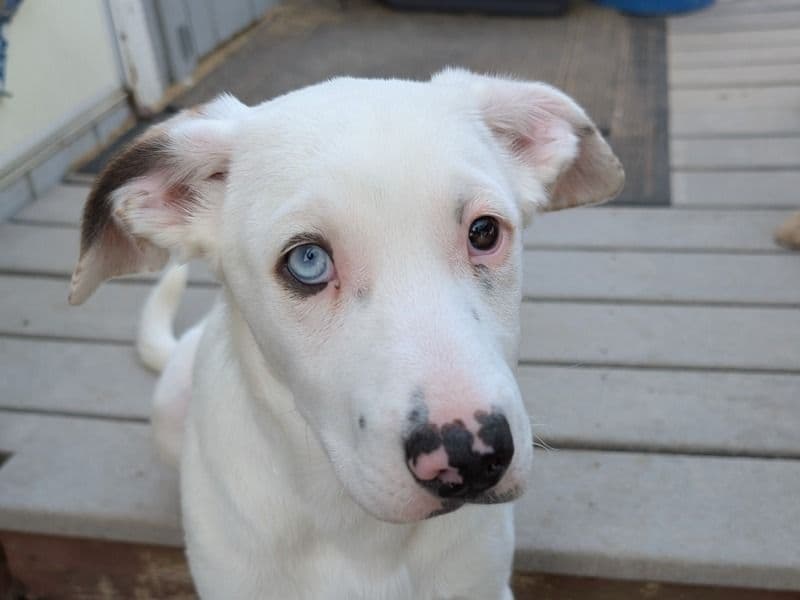 Yuki primary photo