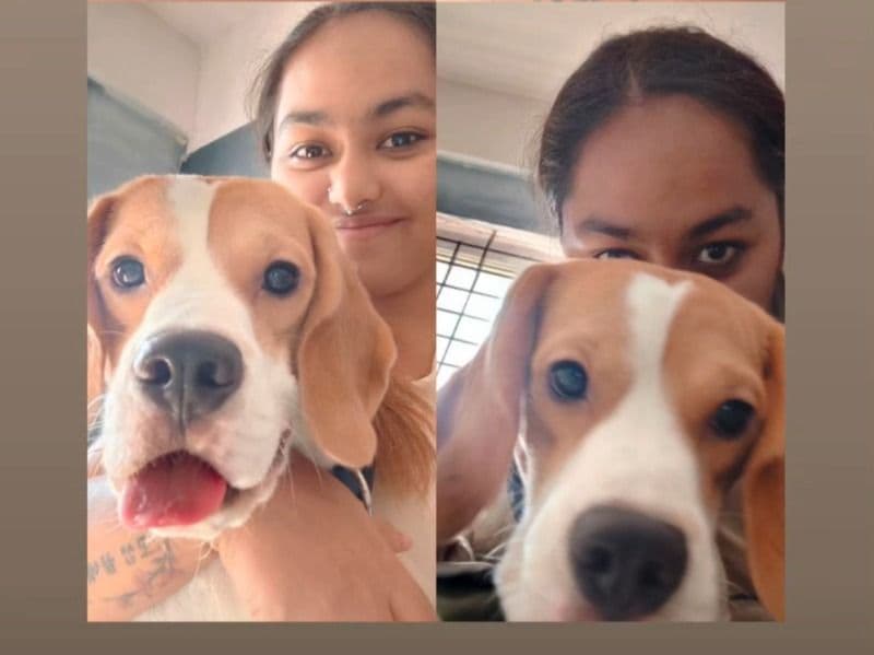 Coco primary photo