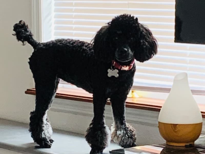 Bella’baby primary photo