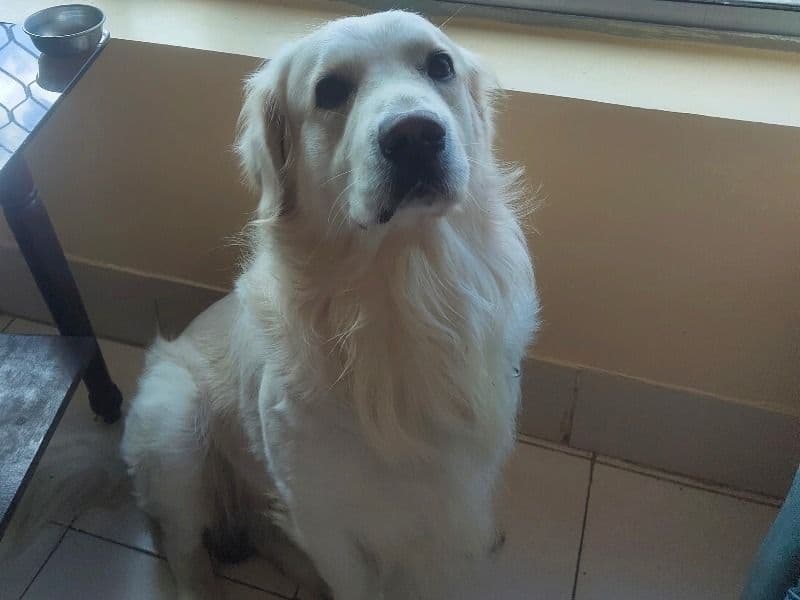Max primary photo