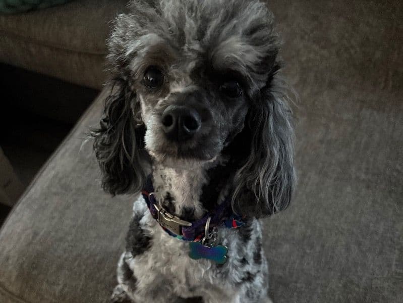 Winnie primary photo