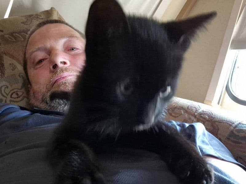 Black Kittie primary photo