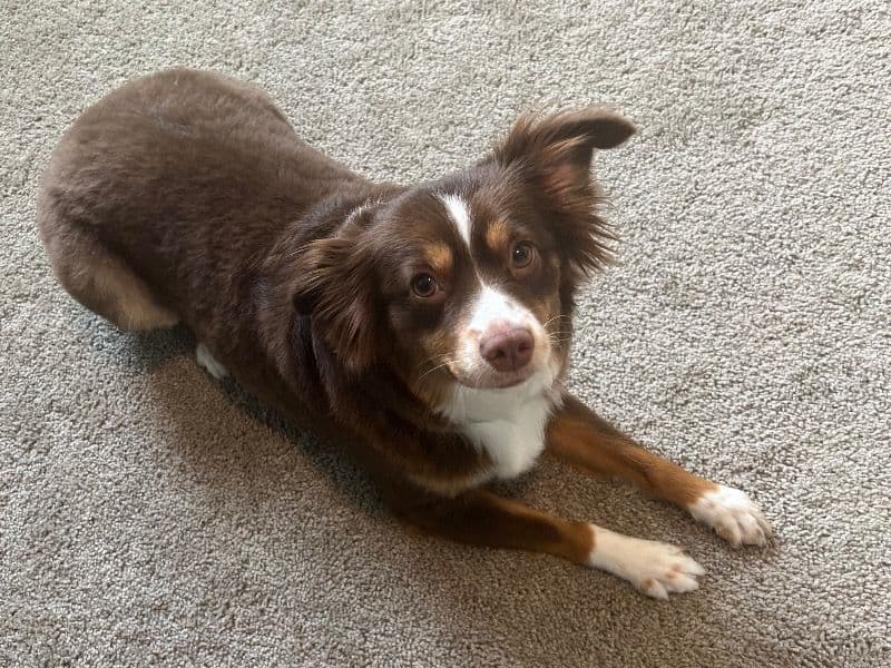Lola primary photo