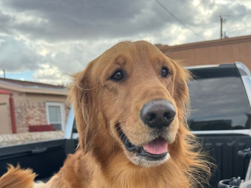 Odin primary photo