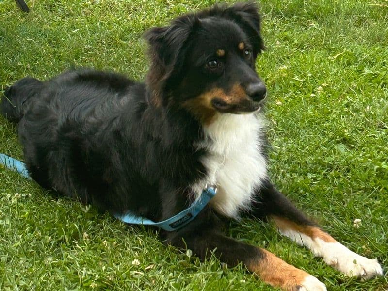 Theo primary photo