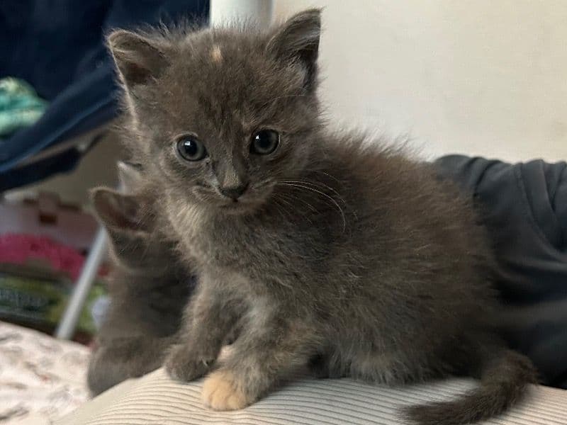 Baby primary photo