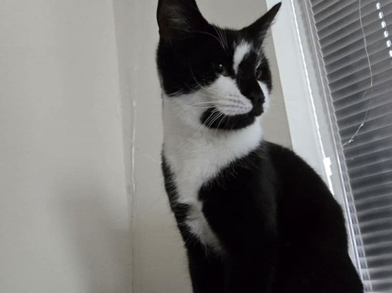 Lexie primary photo
