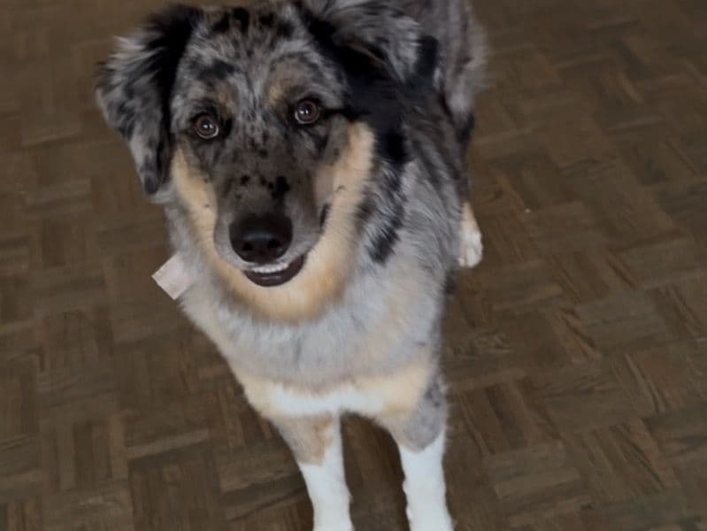 Mia primary photo
