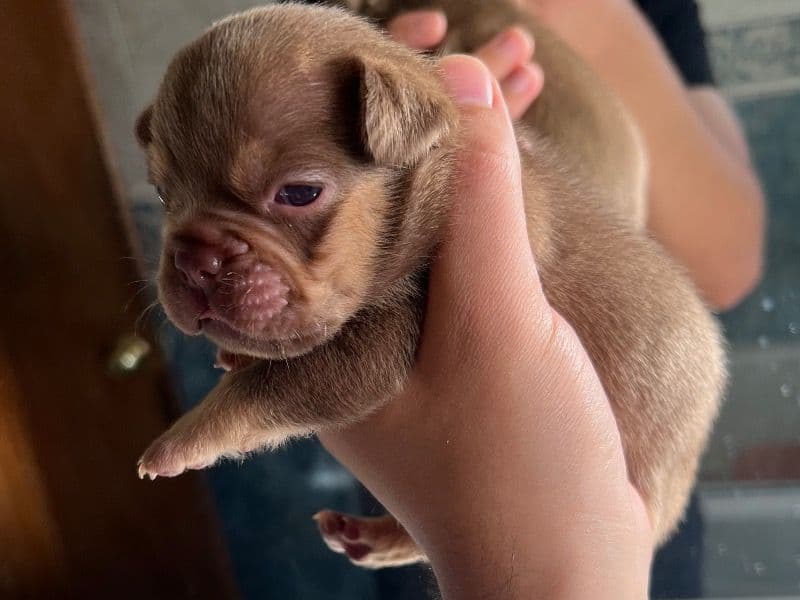 Zeus primary photo
