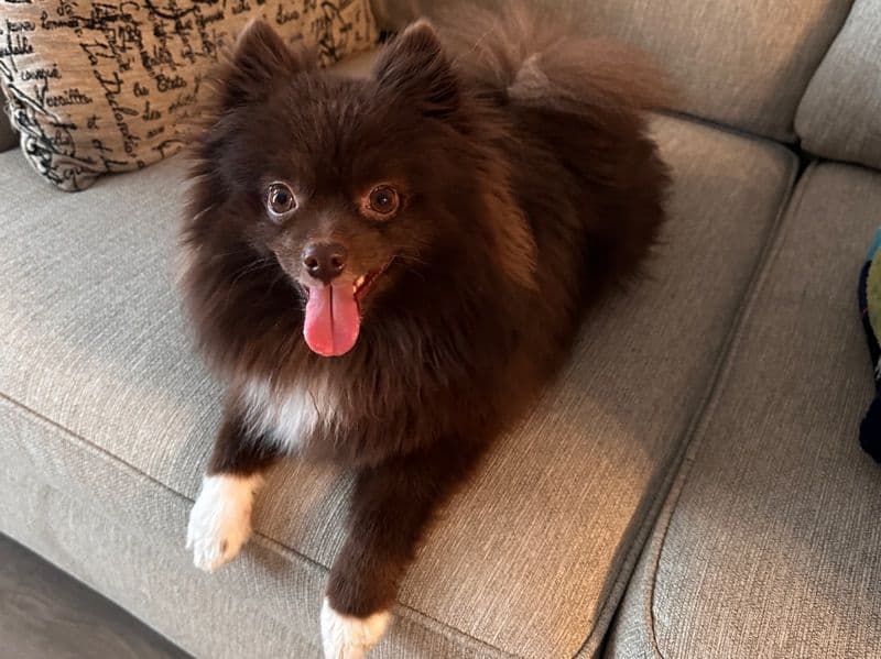 Buster primary photo