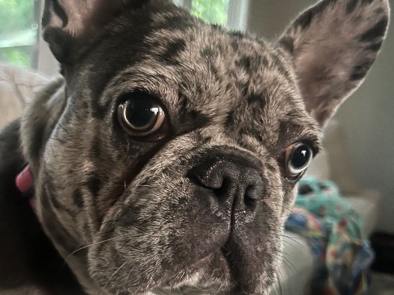 Winnie primary photo