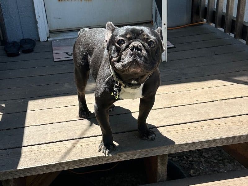 Jack primary photo