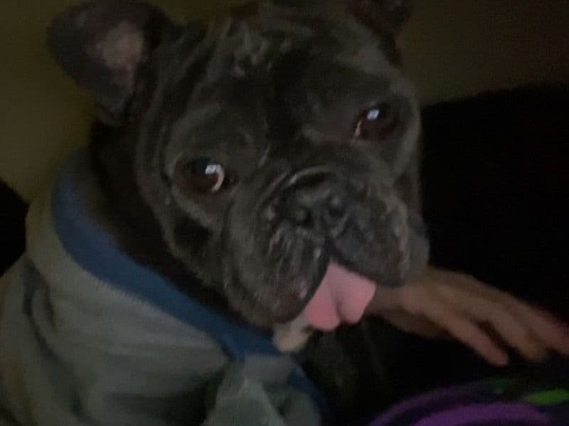 Stormi primary photo