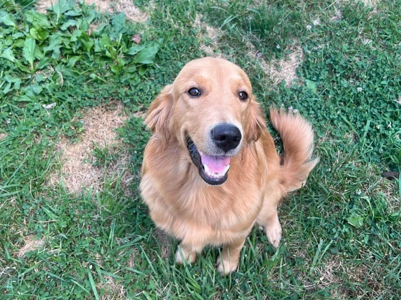 Molly primary photo