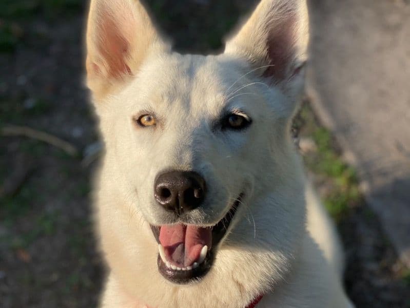 Blanca primary photo