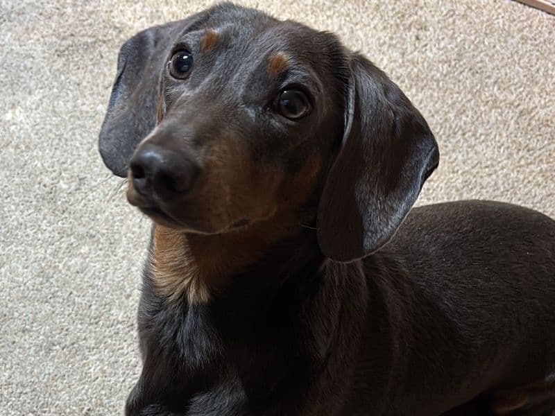 Axel primary photo