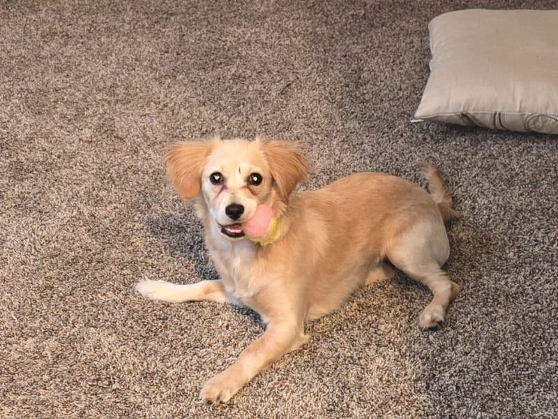 Winnie primary photo
