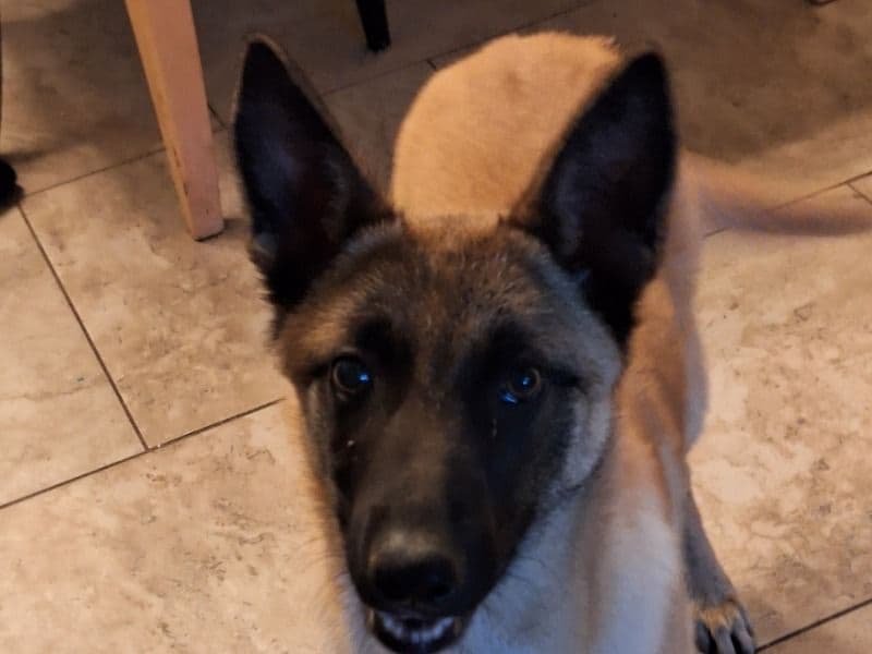 Kimiko primary photo
