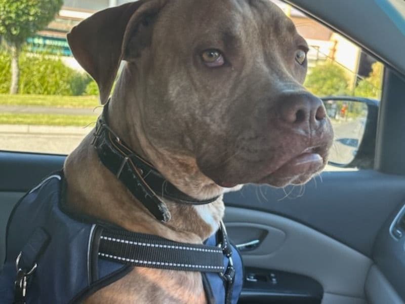 Max primary photo