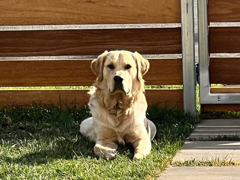 Charlie primary photo