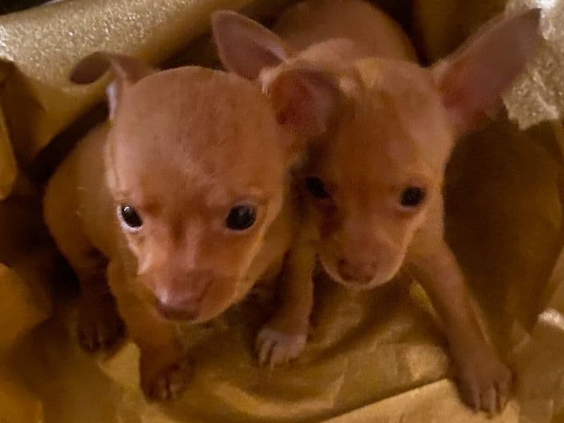 No Names Yet. primary photo