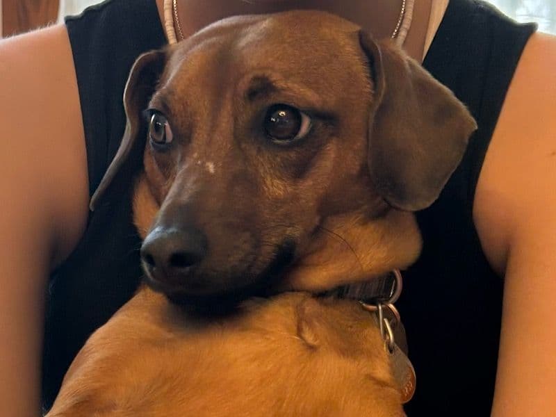 Gina. primary photo