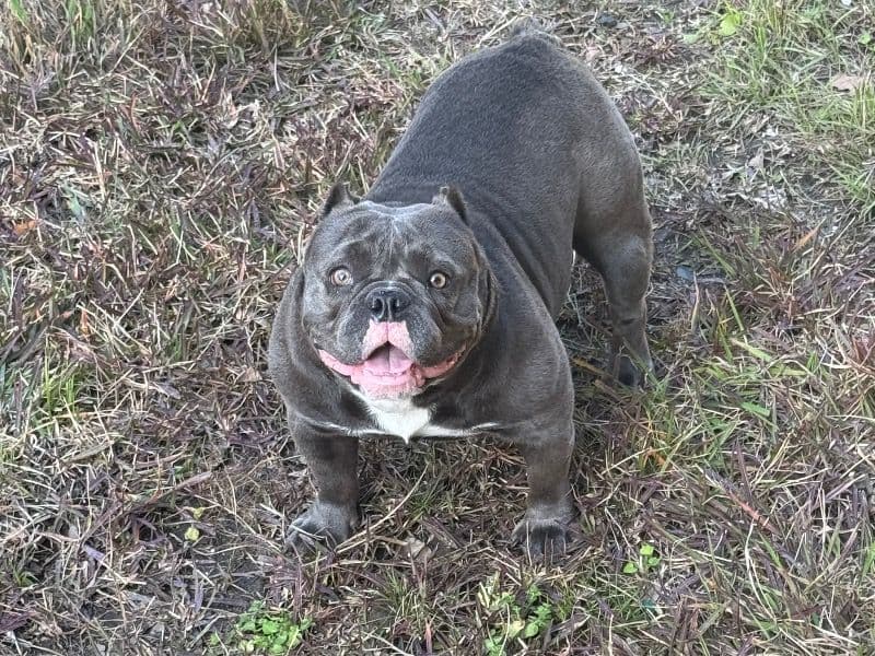 Coco primary photo