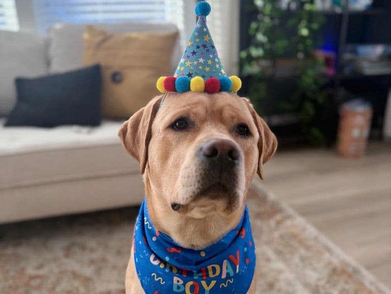 Benny primary photo